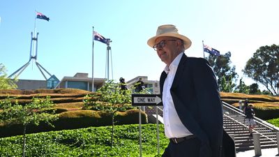 Labor on a high as Barnaby bolts and Pauline shocks