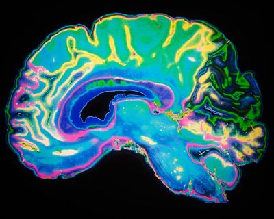 We older people are always a footnote