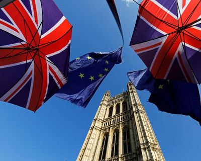 A public inquiry on Brexit might make it easier for us to rejoin the EU