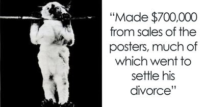 50 Times People Found Gems On Wikipedia That Were Too Funny Not To Share (New Pics)