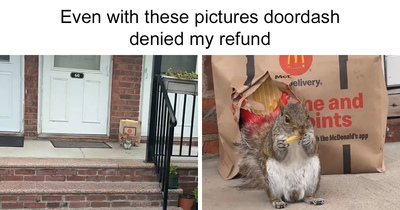 50 Hilariously Wholesome Animal Memes That Help People Forget Problems And Heavy Thoughts (New Pics)