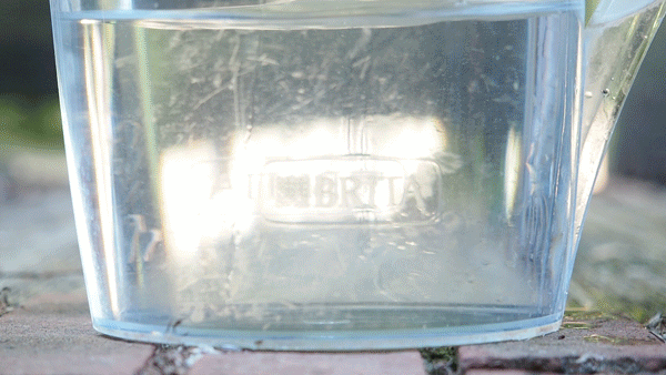 I hate traveling with heavy camera gear. This is my favorite compact camera for travel (and there’s a hidden $100 coupon right now)