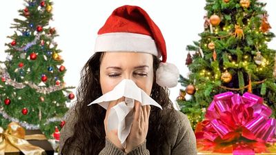 Cold weather, Christmas trees, and dust: Why your allergies may flare up this Christmas