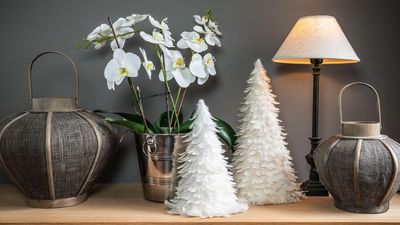 Forget Poinsettias – These 5 Chic Alternatives Ooze Style and Seasonal Charm, for an Unconventional yet Elegant Festive Display