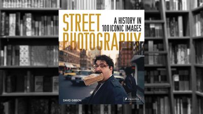 Street Photography: A History in 100 Iconic Photographs by David Gibson review