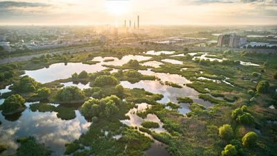 Shot using a DJI Air 2S drone, this view of an urban wetland is a breathtaking sight – and this kind of documentary aerial work isn't easy