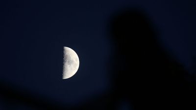 Saturn shines with the waxing moon at sunset on Nov. 29