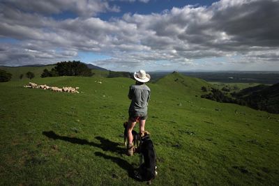 Working the land but rarely owning it: life for New Zealand’s young farmers