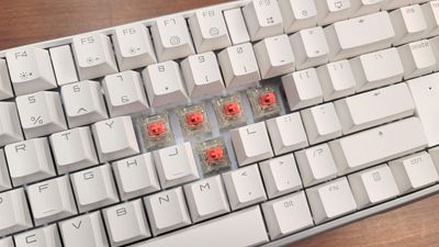 Iconic mechanical keyboard switch maker Cherry is in deep financial trouble — the company is considering selling its peripherals division to stay afloat