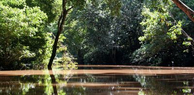 Seen but not forgotten: How citizen science helps document biodiversity in remote Borneo villages