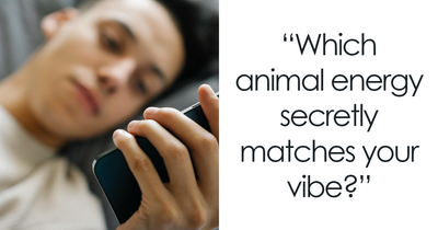 “Are You More Black Cat Or Golden Retriever?”: This 26-Question Quiz Reveals Your True Energy