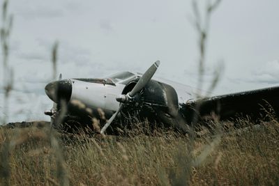 Pilot Killed After Two Planes Collide Mid-Air in Sydney as One Aircraft Plummets Into Bushland