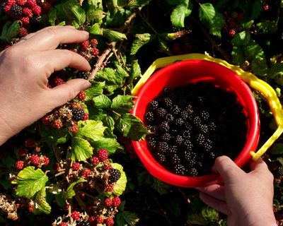 Nine eco-minded gifts for Americans that actually make a difference