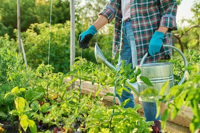 How to Sketch a Smarter Garden Map During the Off-Season