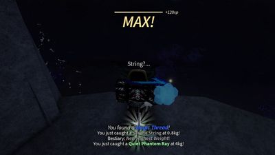 How to get String in Fisch – Roblox