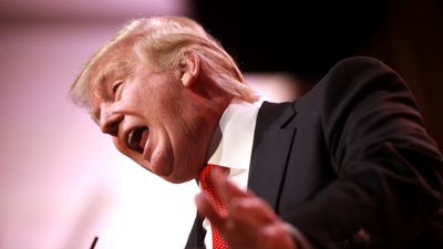 Trump Sparks Fury After Freeing £1.6 Billion Ponzi-Scheme Mastermind Just 12 Days Into 7-Year Sentence