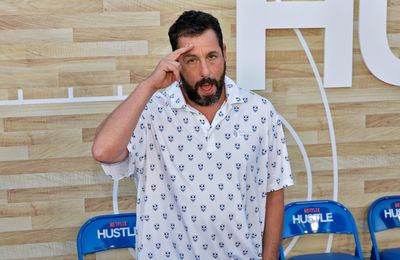Adam Sandler wanted fame
