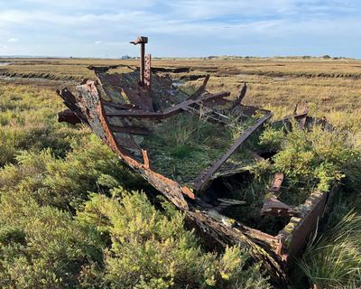 Country diary: A rusting shipwreck that’s part of the family