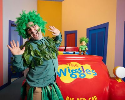 The Wiggles don’t condone drugs, spokesperson says after controversial TikTok video set to Ecstasy song