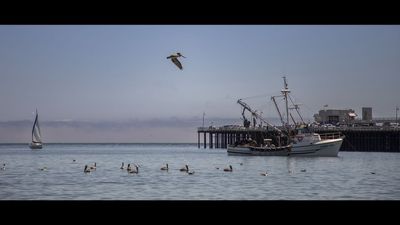 This super-quick editing hack transforms my travel photos into magical movie moments