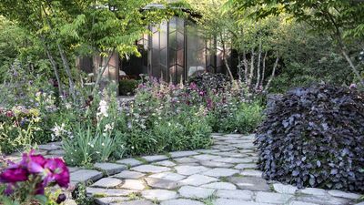 Designers Reveal Their 5 Favorite Tricks for Transforming Outdoor Eyesores into Standout Garden Features