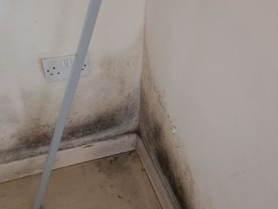 North London tower block infested with mice and mould leaves residents 'suffering'