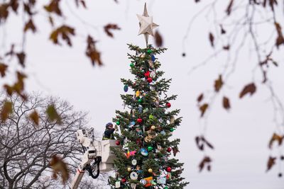 This week: Defense policy bill on the move as Capitol Christmas tree arrives - Roll Call