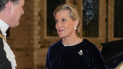 It's sparkle season - Duchess Sophie just styled hers with midnight blue velvet