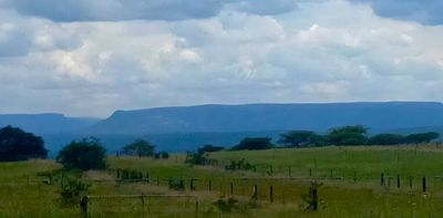Africa’s longest-running grassland research project offers up a wealth of knowledge