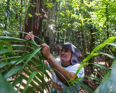 ‘We’re true guardians of the forest’: quilombola community near Belém demand land rights and recognition