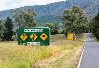 What’s Driving Australia’s Recent Road Accident Spike?