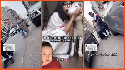 TikTok influencer sees internet turn on her after her friend’s husky died while in her care, she returned the dog in a suitcase