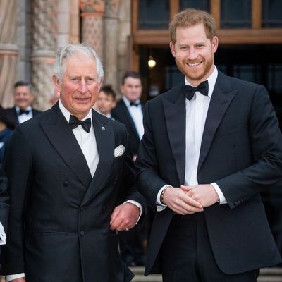Why King Charles Won’t Be Meeting Harry During His US Visit, According to Experts