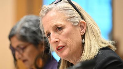 Labor vowed to end 'jobs for mates' but ignored review