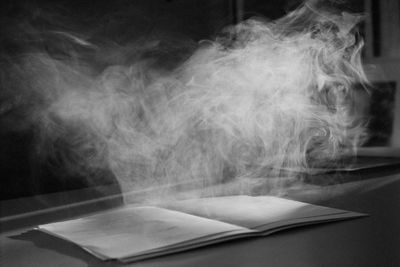 ‘Was it a woman who bit off his ear?’: the wild life and serene photography of Tom Sandberg