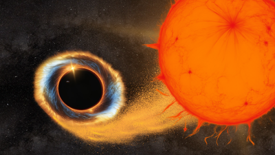NASA exoplanet-hunting spacecraft hears a red giant star 'singing' to its partner black hole