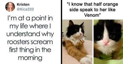 70 Hilarious And Relatable X Posts From November To Get You Through Another Long Day