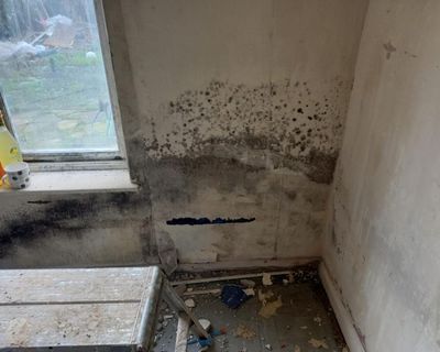 UN experts raise concerns over homes rented out by English social landlord