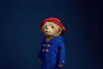 The Standard podcast: Paddington The Musical wows West End critics