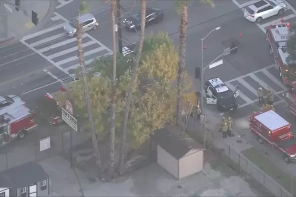 Tree trimmer impaled on iron fence after falling 35 feet to his death in LA