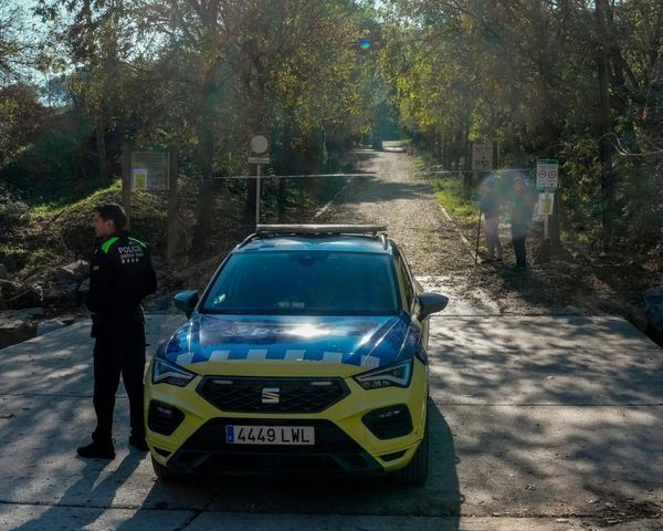 Spanish swine fever outbreak may be linked to food eaten by boar, say officials