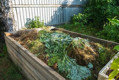 Why Compost Tea Works Better in Cool Soil