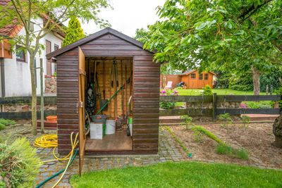 How to Catch Hidden Pests Before They Invade Your Shed This Winter