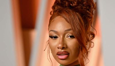 Megan Thee Stallion ends long fight over blogger’s 'paid surrogate' allegation