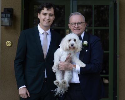 Toto carrying the rings at Albanese’s wedding is nothing new, as more pets join couples saying ‘I do’