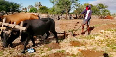 African land policy reforms have been good for women and communities – but review of 18 countries shows major gaps