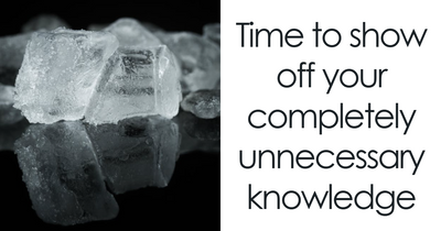 This 30-Question Useless Facts Challenge Will Reveal How Weirdly Smart You Really Are