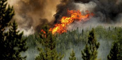 From earthquakes to wildfires, Canada is woefully ill-prepared for disasters