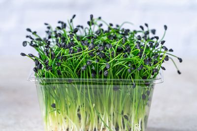 9 Everyday Foods That May Carry Contamination You Didn’t Expect