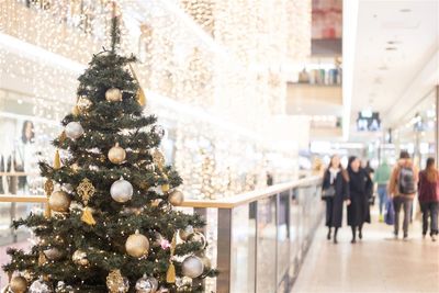 The Most Festive Christmas Stores in the U.S., According to Poll [2025]